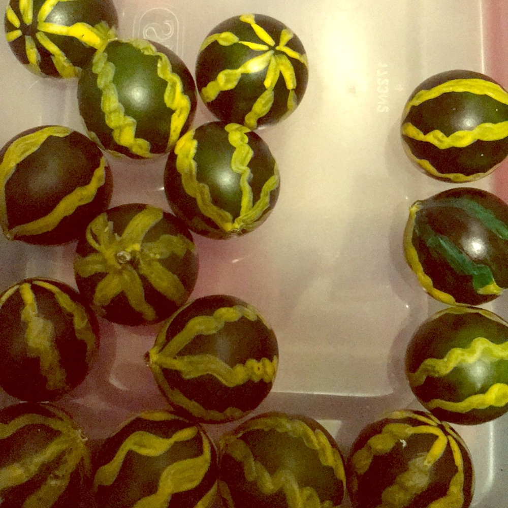 Watermelon Home Decor - Picture 1 of 1